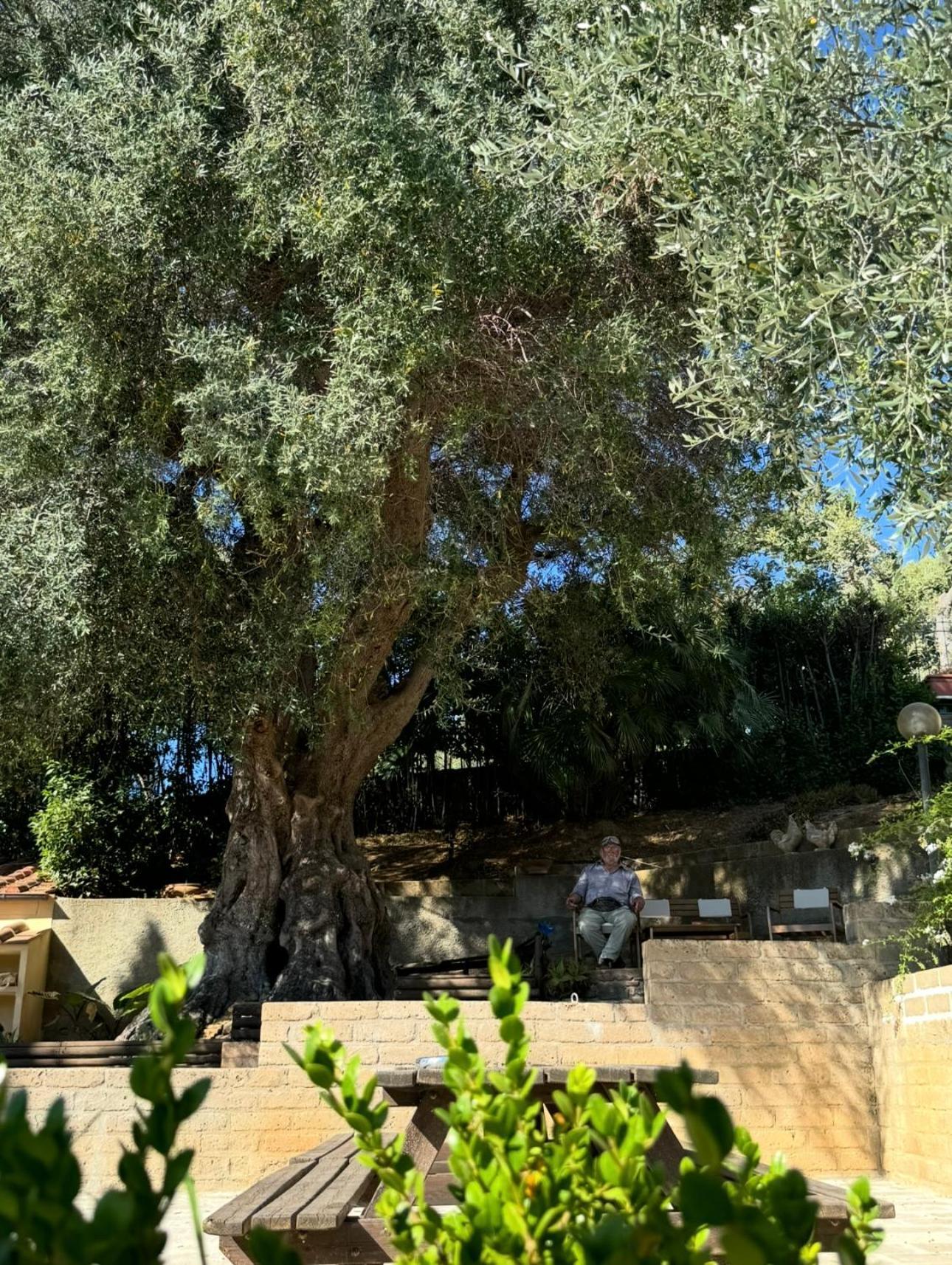 Madonna Del Poggio Cav Aparthotel Scarlino Exterior photo